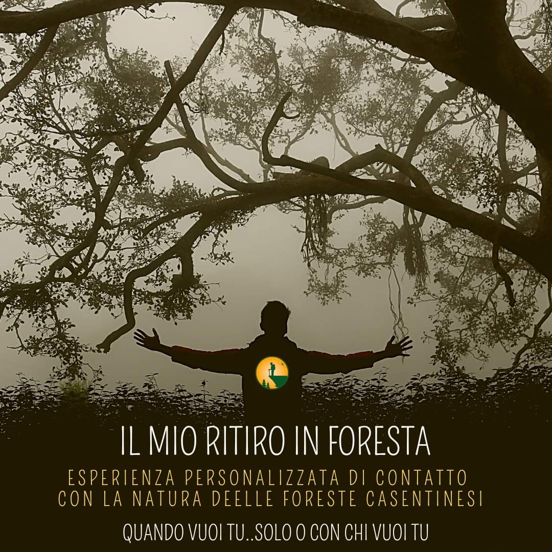 Il mio Ritiro in Foresta - Quando vuoi tu... dove vuoi tu