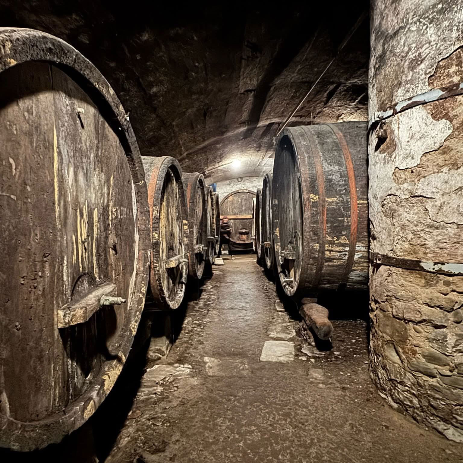 19 Luglio - le Cantine Proibite dei Monaci Camaldolesi