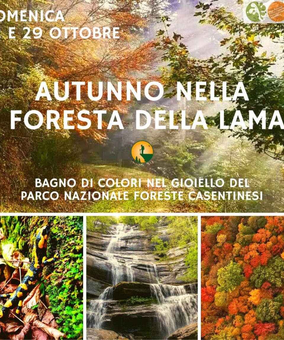 autunno la lama