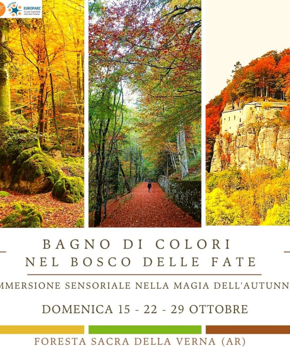 bagno di colori la verna