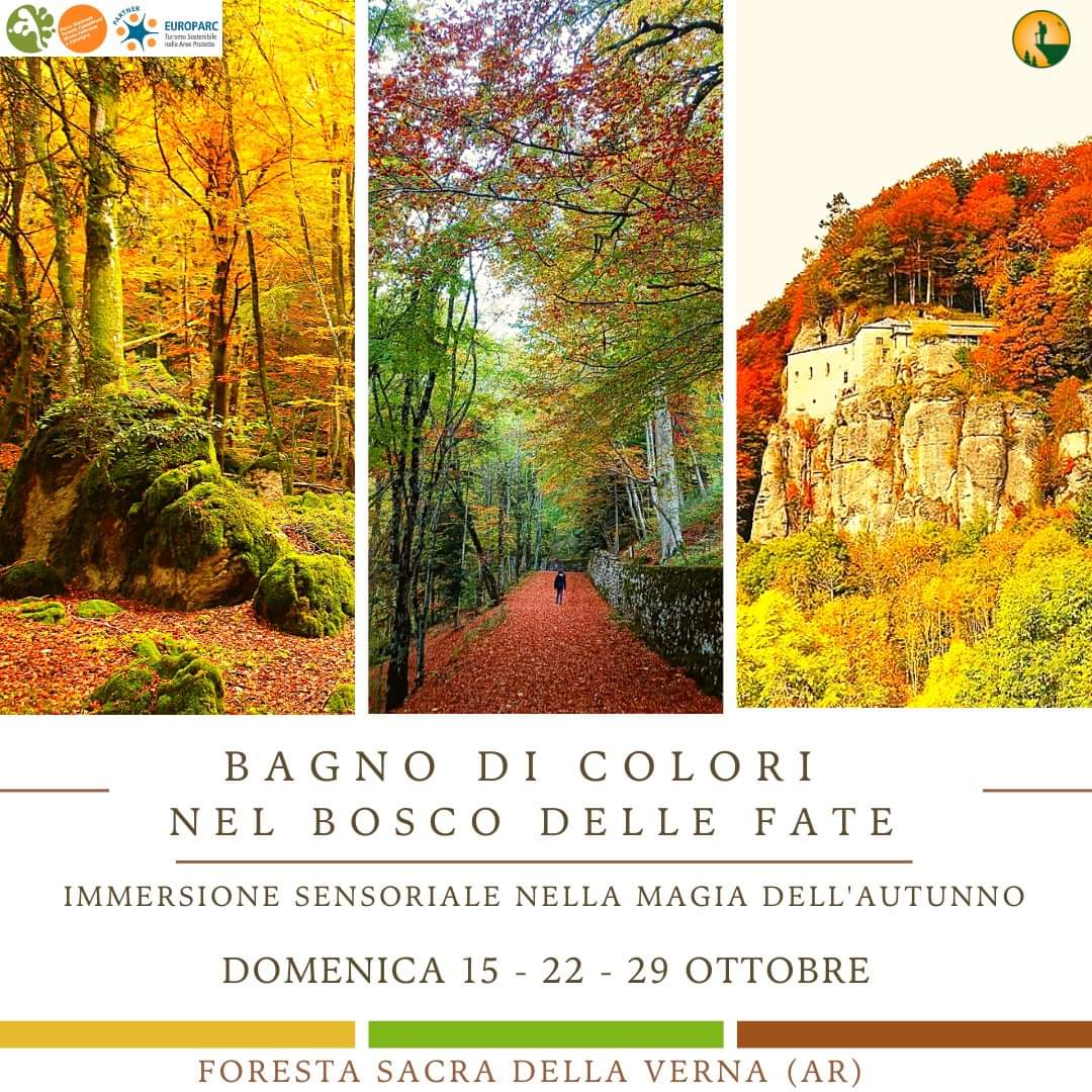 15 Ottobre - Bagno di Colori nel Bosco delle Fate – Autunno nella Foresta Sacra 15 Ottobre - Bagno di Colori nel Bosco delle Fate – Autunno nella Foresta Sacra