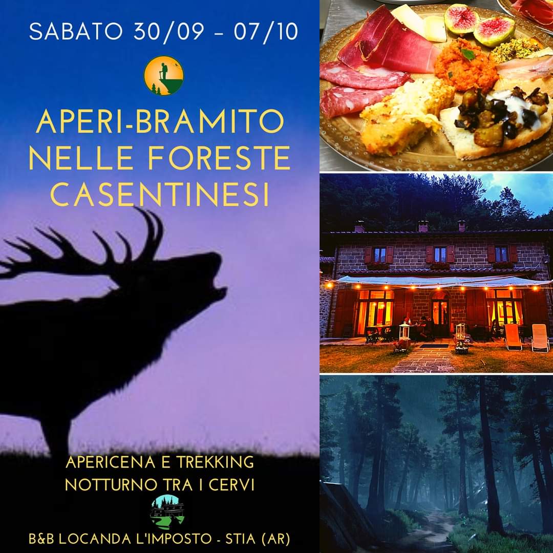 7 Ottobre - Aperi-Bramito nelle Foreste Casentinesi 7 Ottobre - Aperi-Bramito nelle Foreste Casentinesi
