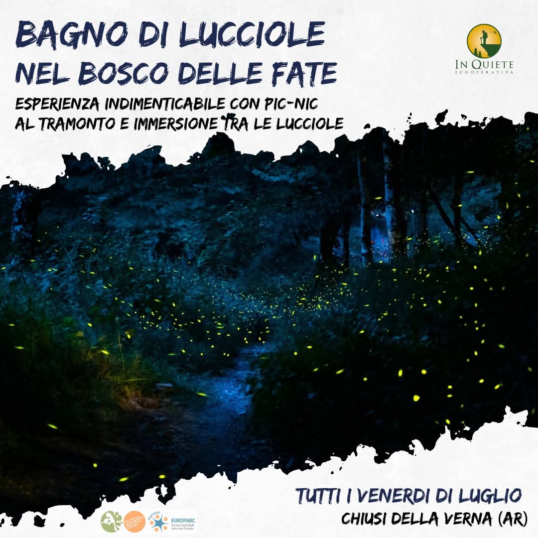 25 Luglio - Bagno di Lucciole nel Bosco delle Fate 25 Luglio - Bagno di Lucciole nel Bosco delle Fate