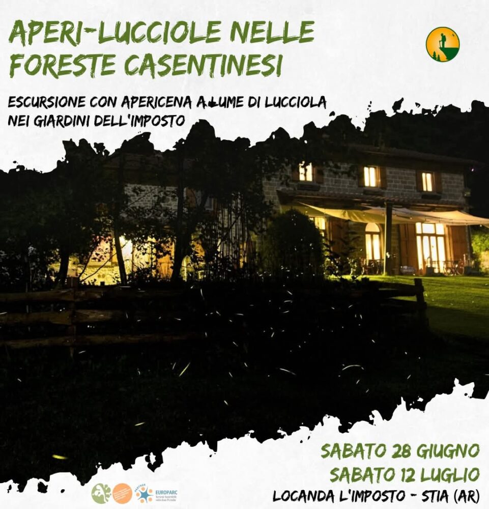 lucciole2