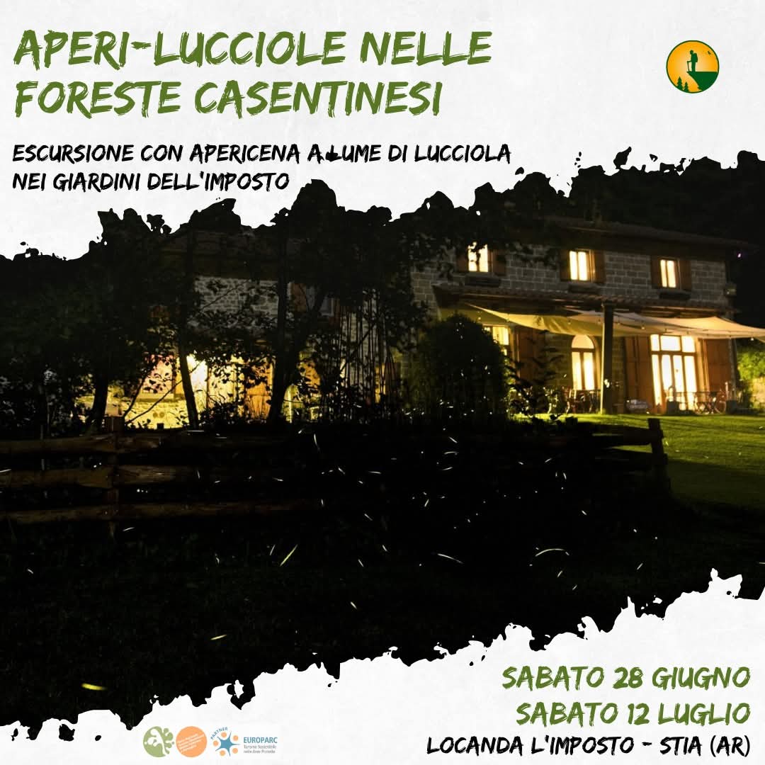 12 Luglio - Aperi-lucciole nelle Foreste Casentinesi 12 Luglio - Aperi-lucciole nelle Foreste Casentinesi