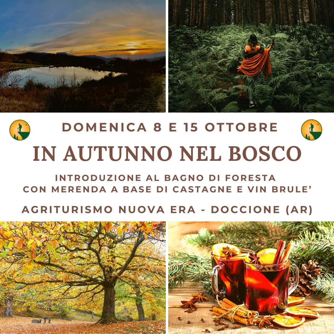 8 Ottobre - In Autunno nel Bosco 8 Ottobre - In Autunno nel Bosco