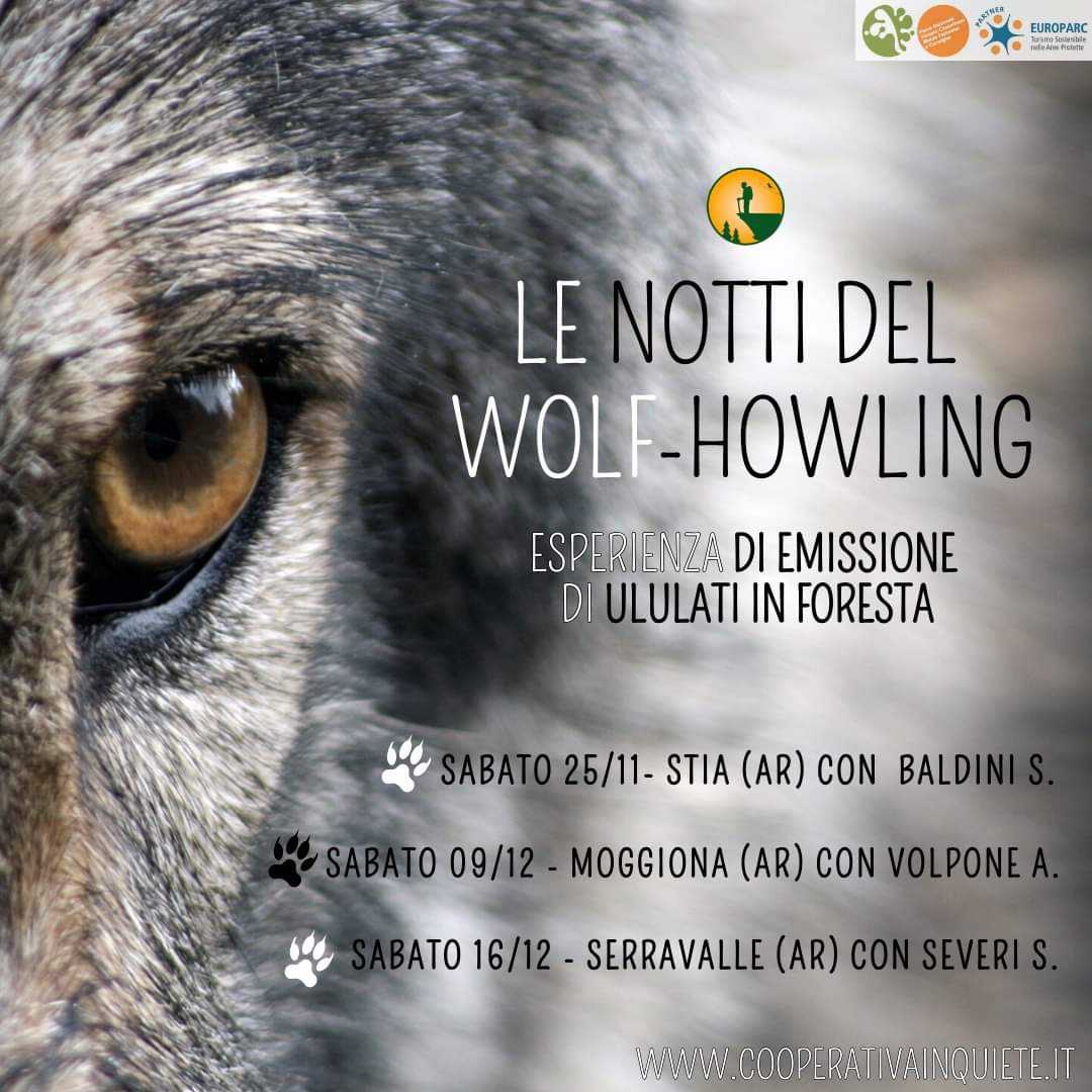 9 Dicembre - Le Notti del Wolf-Howling 9 Dicembre - Le Notti del Wolf-Howling
