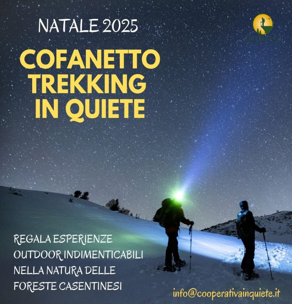 WhatsApp Image 2025-10-30 at 15.39.45 (1)