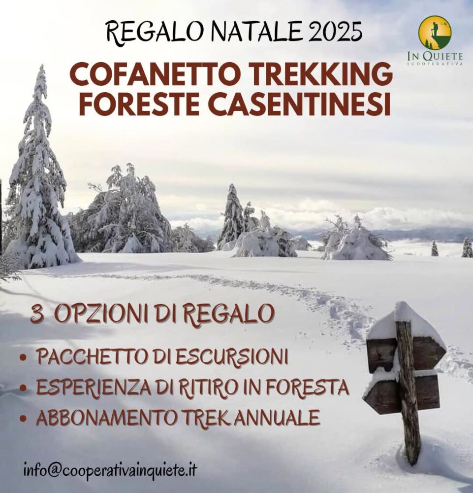 WhatsApp Image 2025-10-30 at 15.39.45