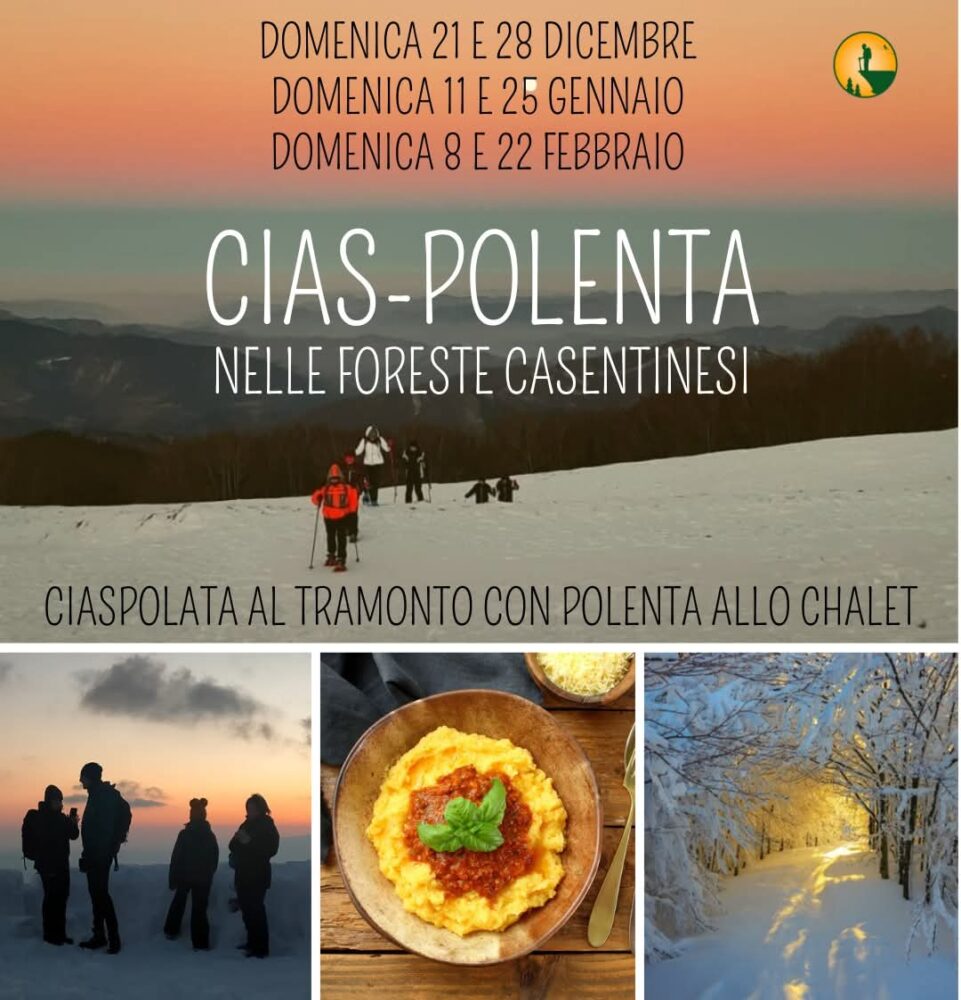 cias-polenta