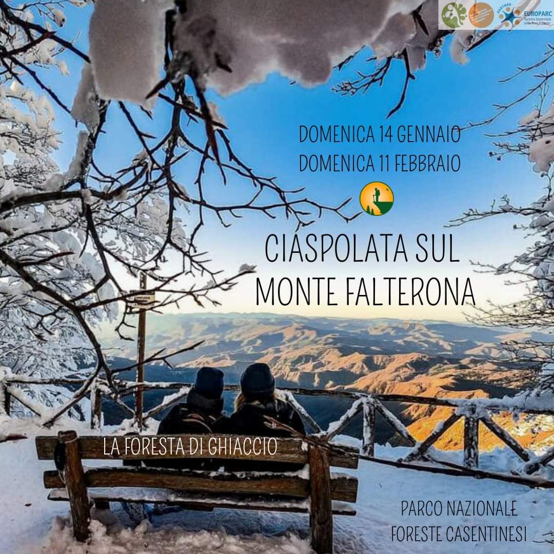 25 Febbraio - Ciaspolata sul Monte Falterona