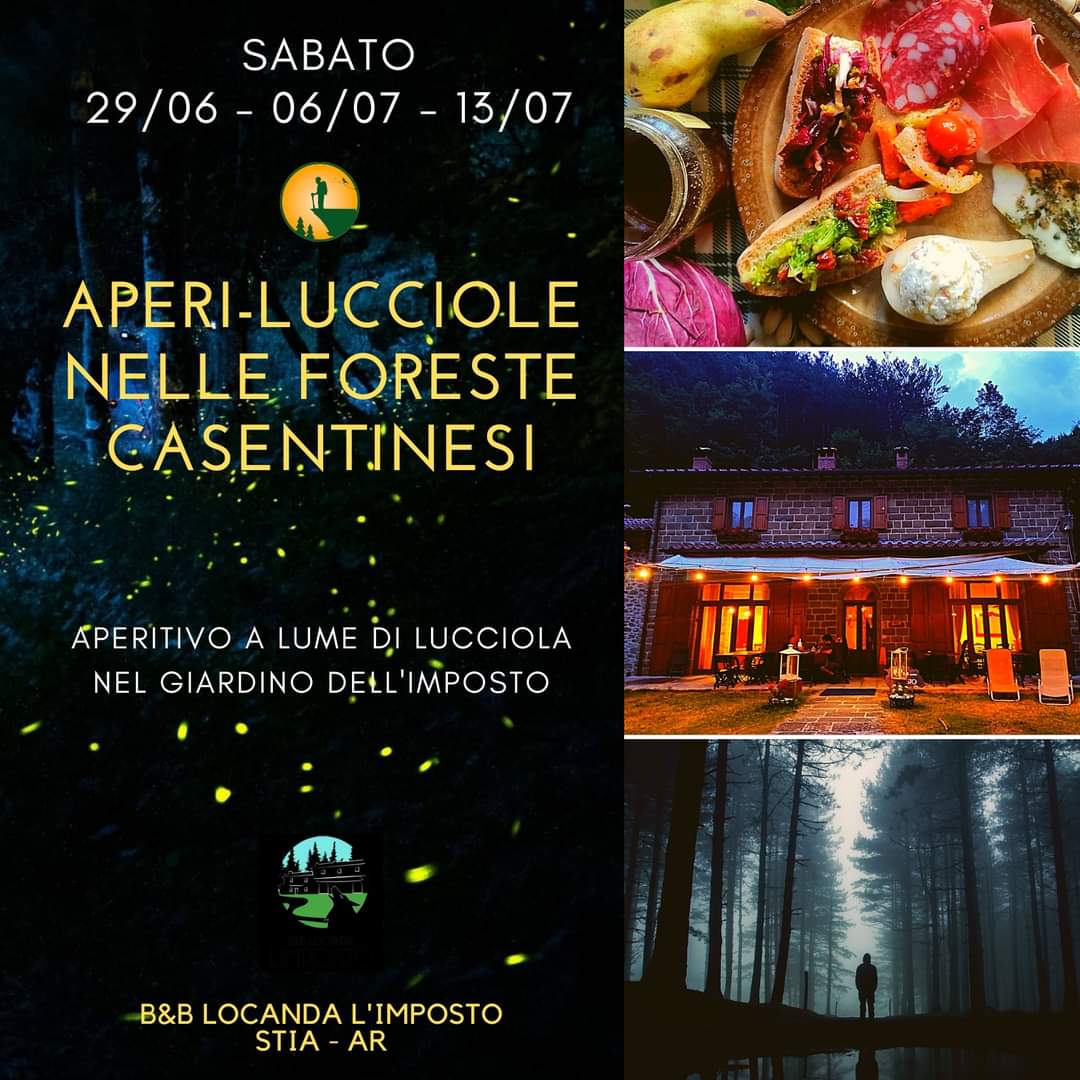13 Luglio - Aperi-lucciole nelle Foreste Casentinesi