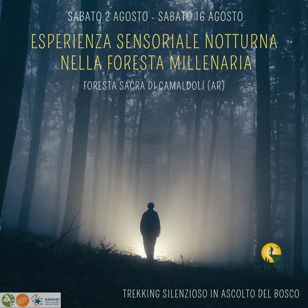 16 Agosto - Esperienza Sensoriale Notturna nella Foresta Millenaria di Camaldoli