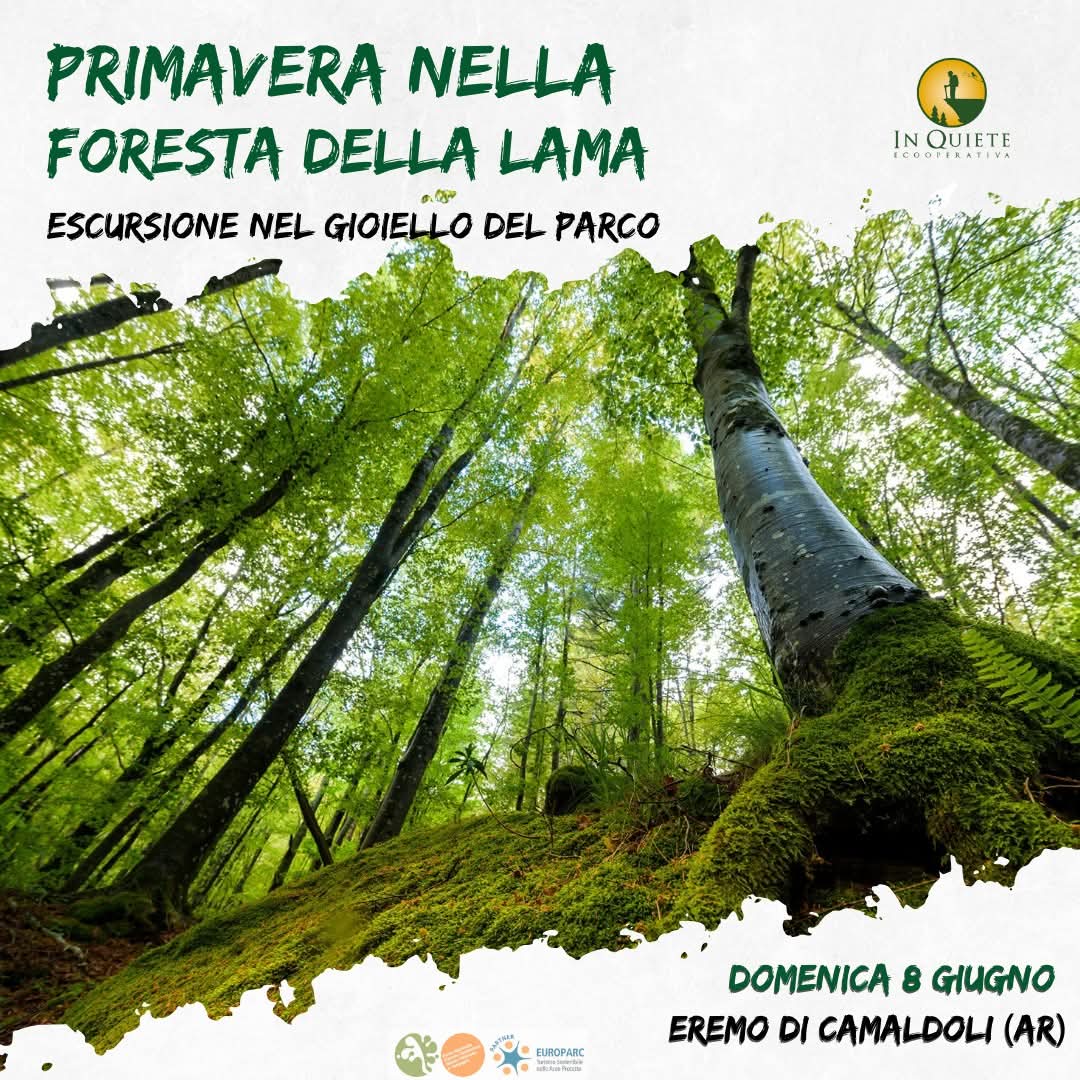 8 Giugno - Primavera nella Foresta della Lama 8 Giugno - Primavera nella Foresta della Lama