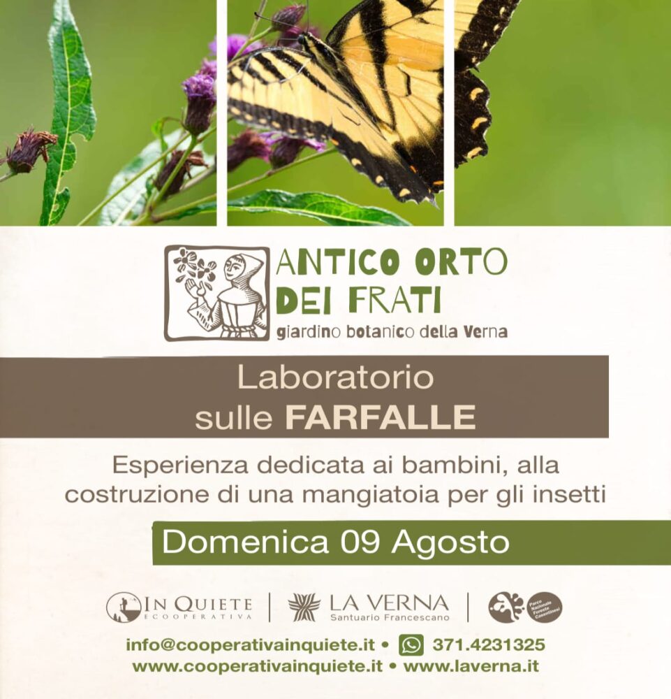 farfalle