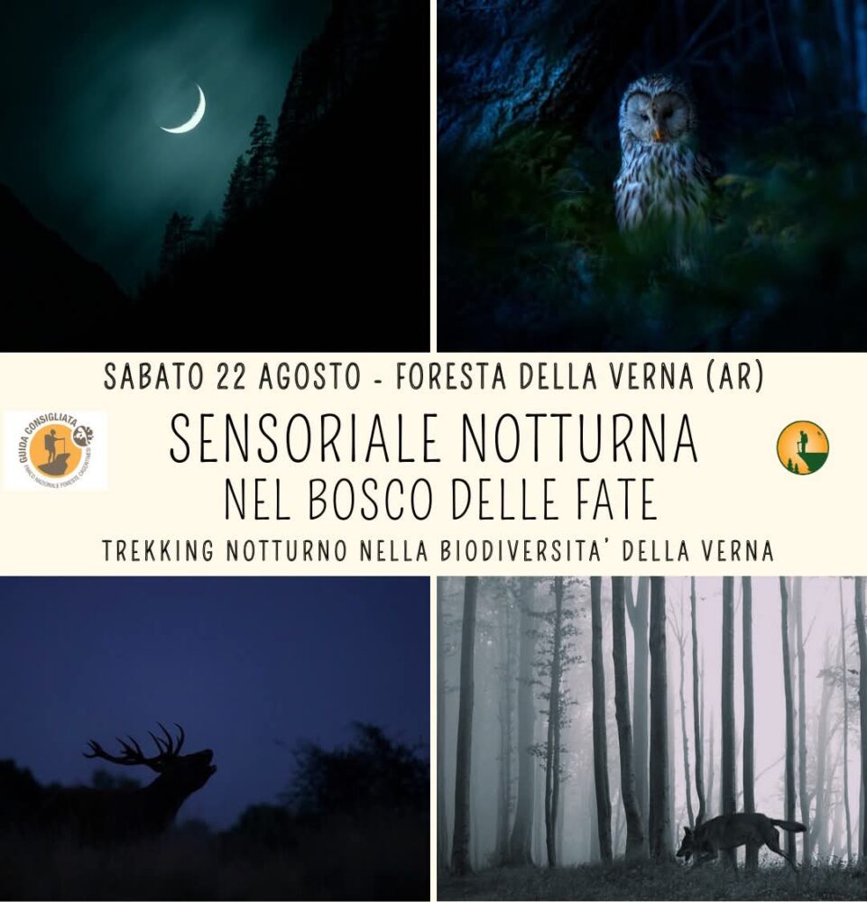 sensoriale