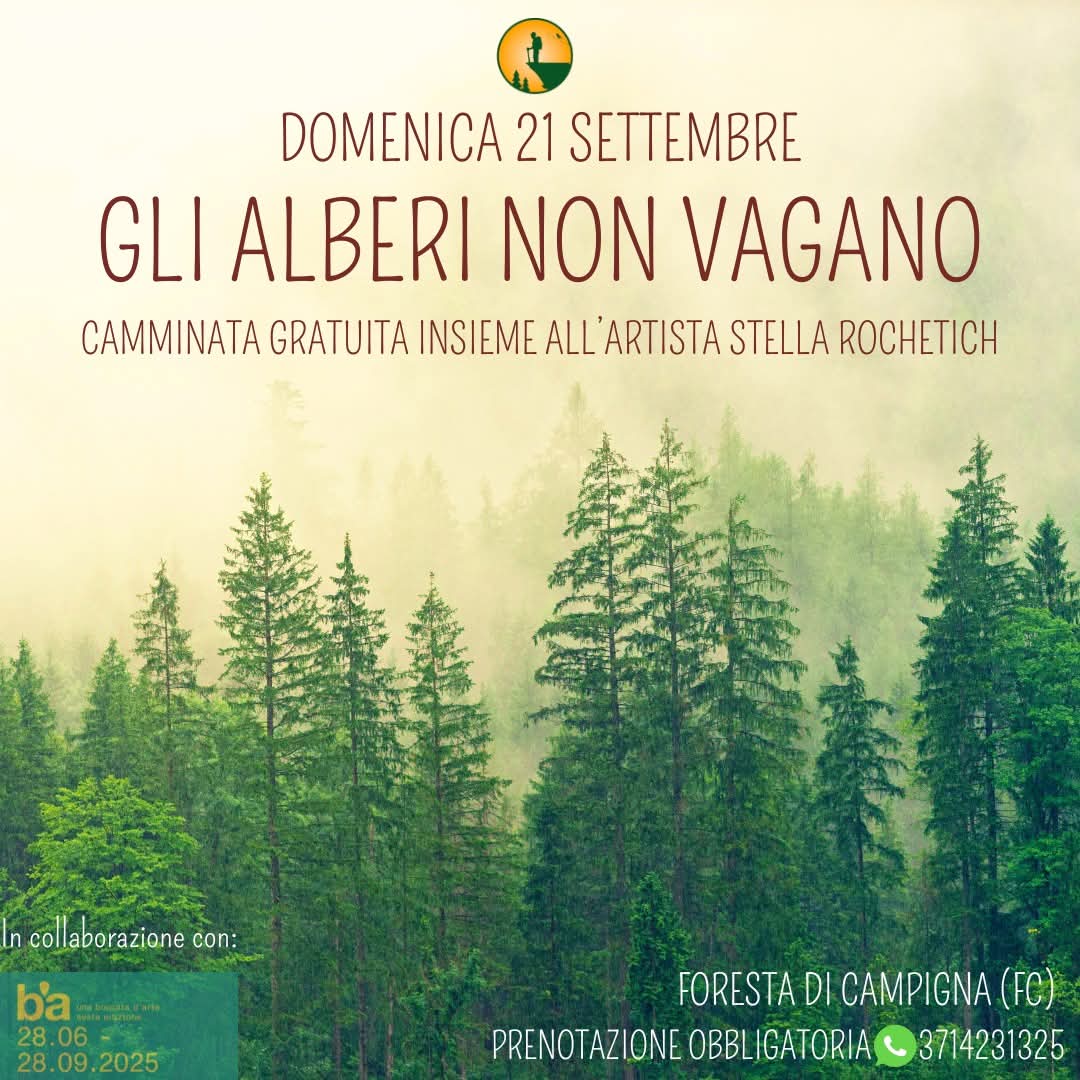 21 Settembre - Gli Alberi non vagano