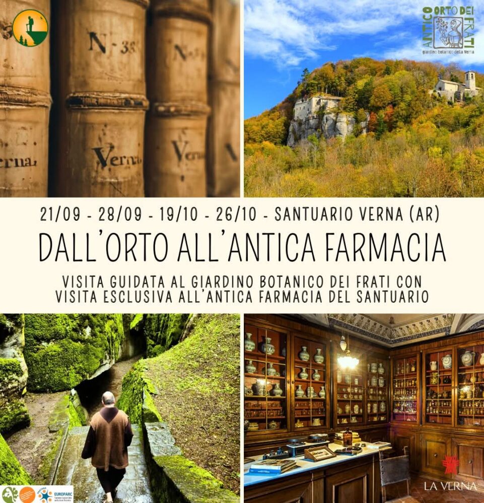 orto-verna-farmacia
