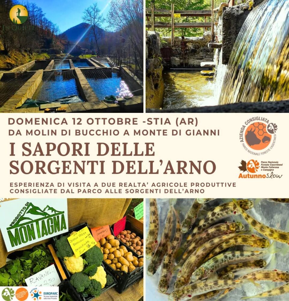 sorgentiarno slow food
