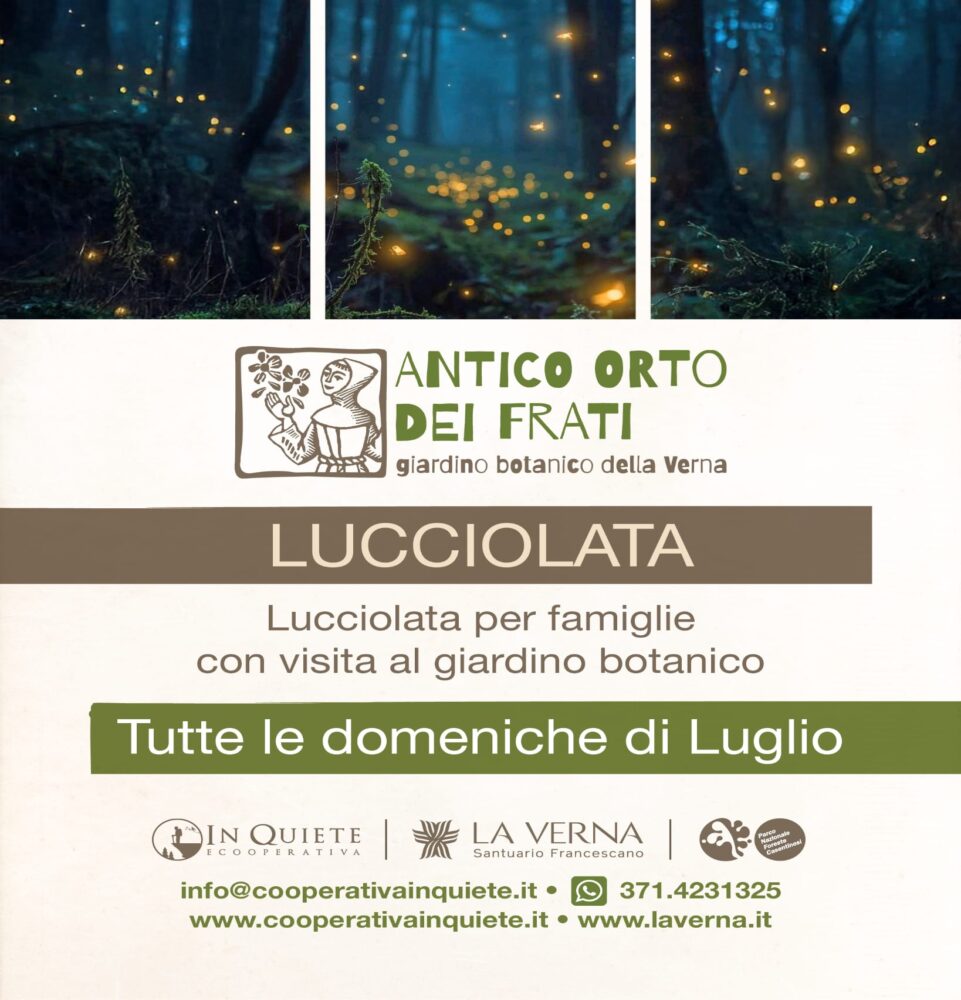 lucciolata