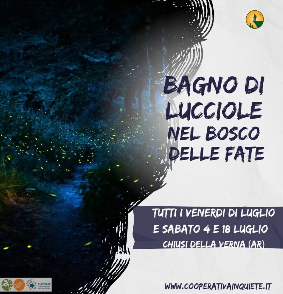 lucciolate-la-verna-bosco-fate